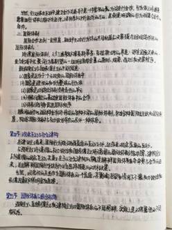 18.bmp